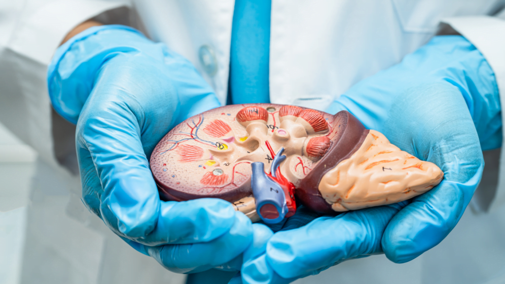 Dr Gerardo Nogueira Urologista em Brasília | Cirurgia Robótica em Brasília | Urologista em Brasília